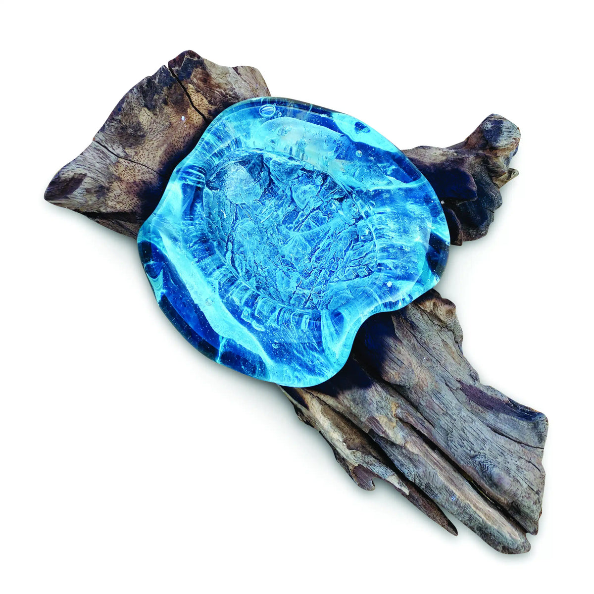 Root With Glass Soap Dish Oval
