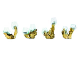 Root With Double Glass Bowl Mini (Tall & Low)