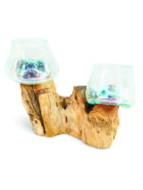 Root With Double Glass Bowl Mini (Tall & Low)