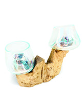 Root With Double Glass Bowl Mini (Tall & Low)