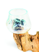 Root With Double Glass Bowl Mini (Tall & Low)