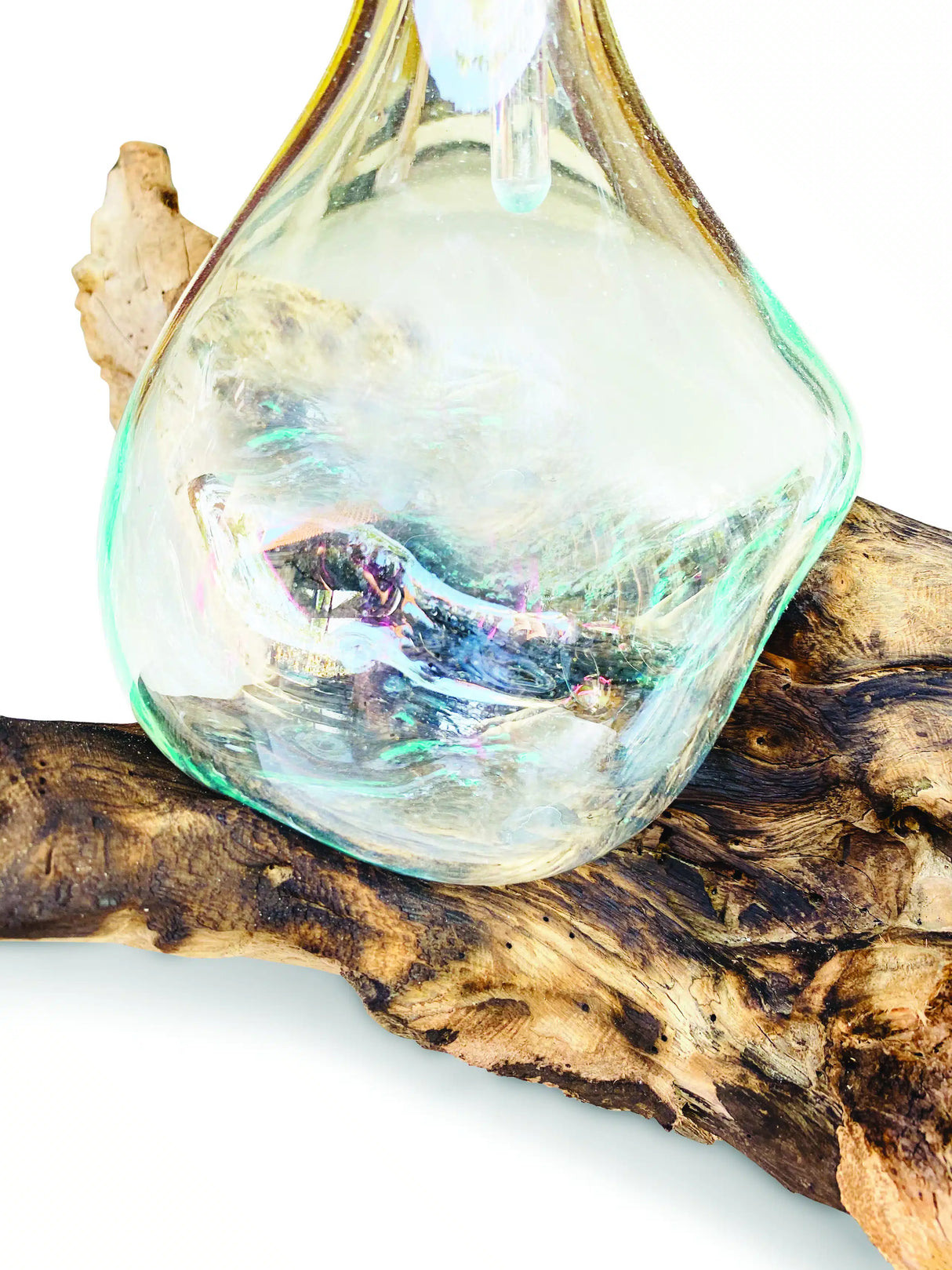 Root With 2 Glass Decanter Set