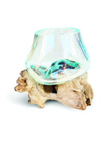Root With Glass Bowl Tiny