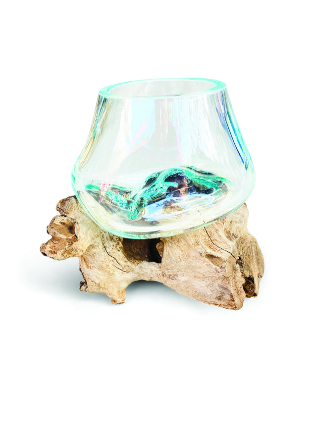 Root With Glass Bowl Tiny