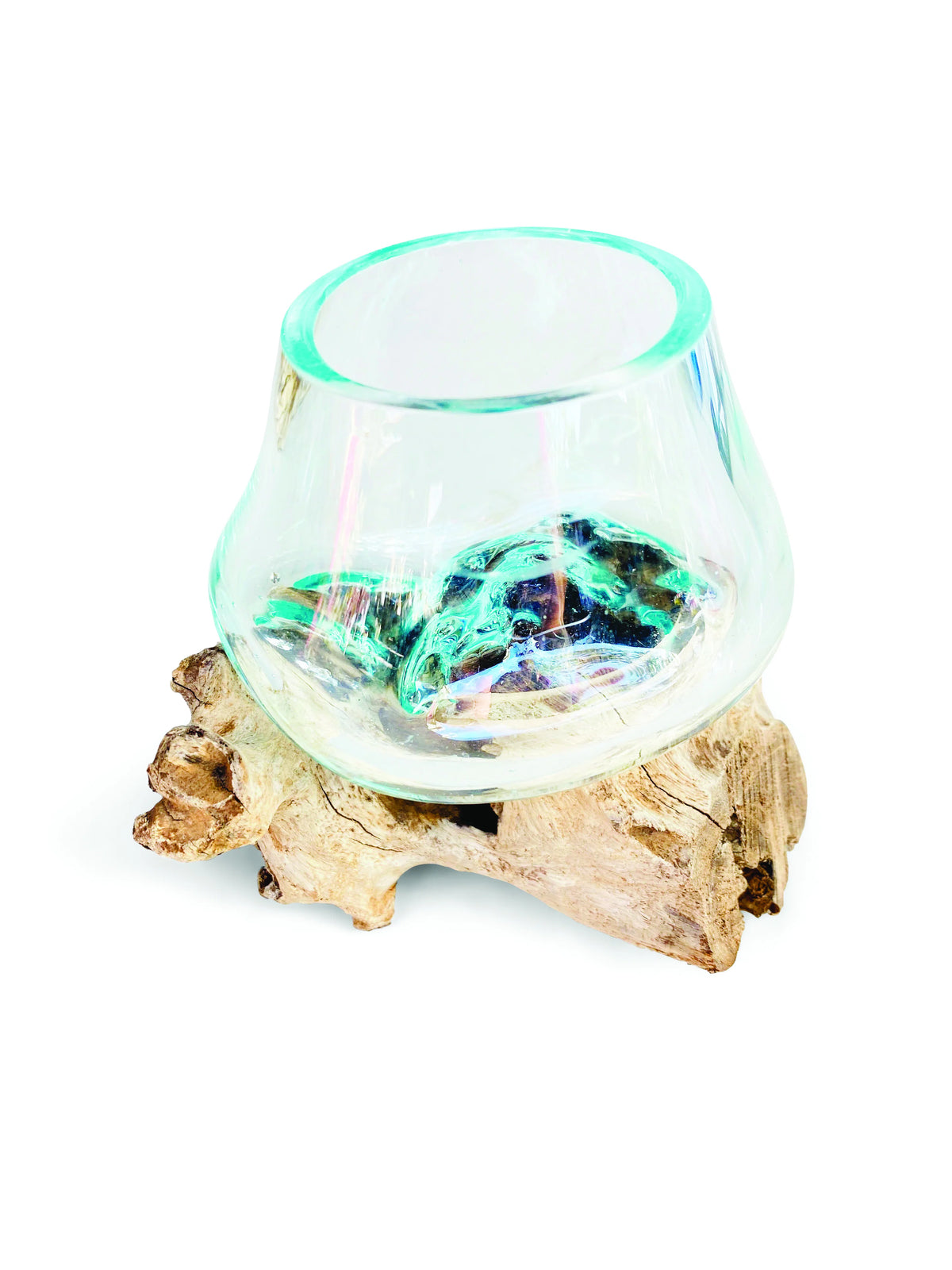 Root With Glass Bowl Tiny
