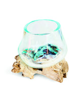 Root With Glass Bowl Tiny