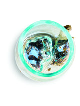 Root With Glass Bowl Tiny