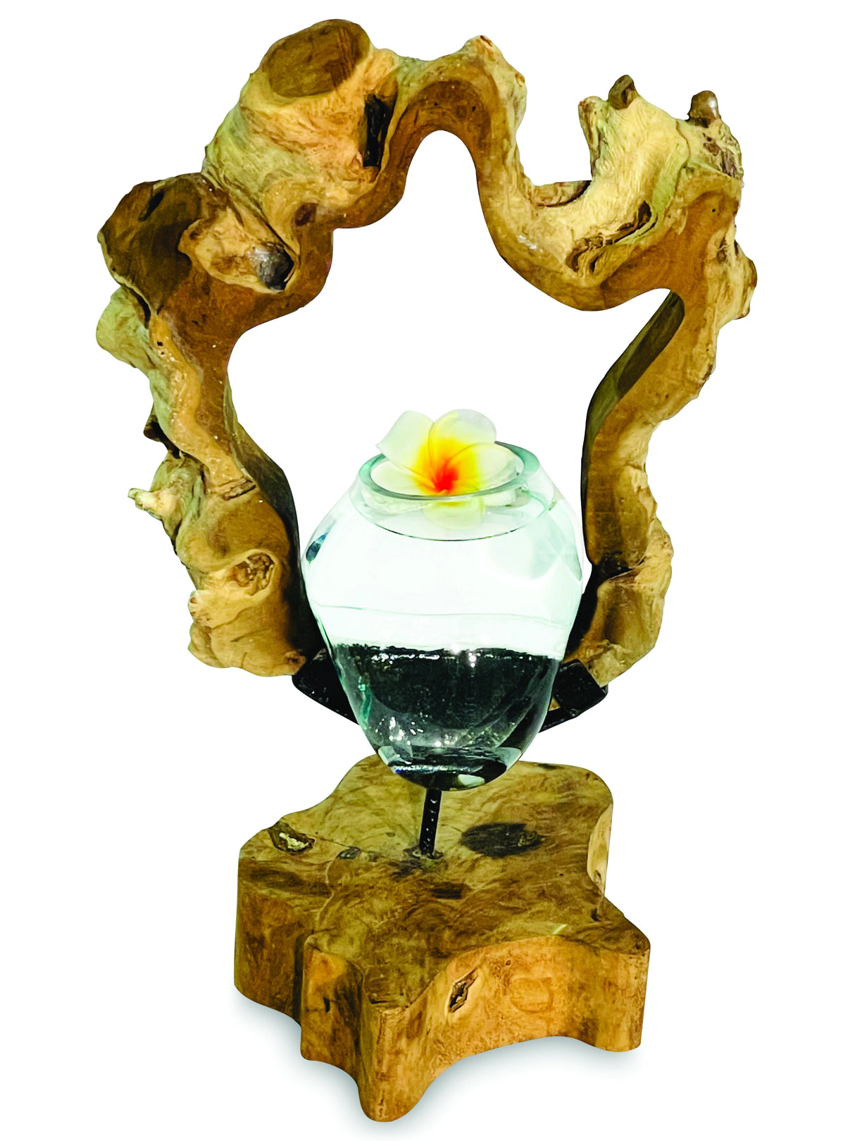 Root With Molten Glass Bowl On Stand