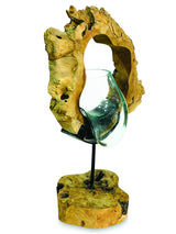 Root With Molten Glass Bowl On Stand