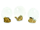 Round Glass Sculpture On Root