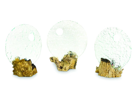 Round Glass Sculpture On Root