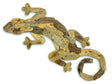 Driftwood Wall Art Gecko 50cm
