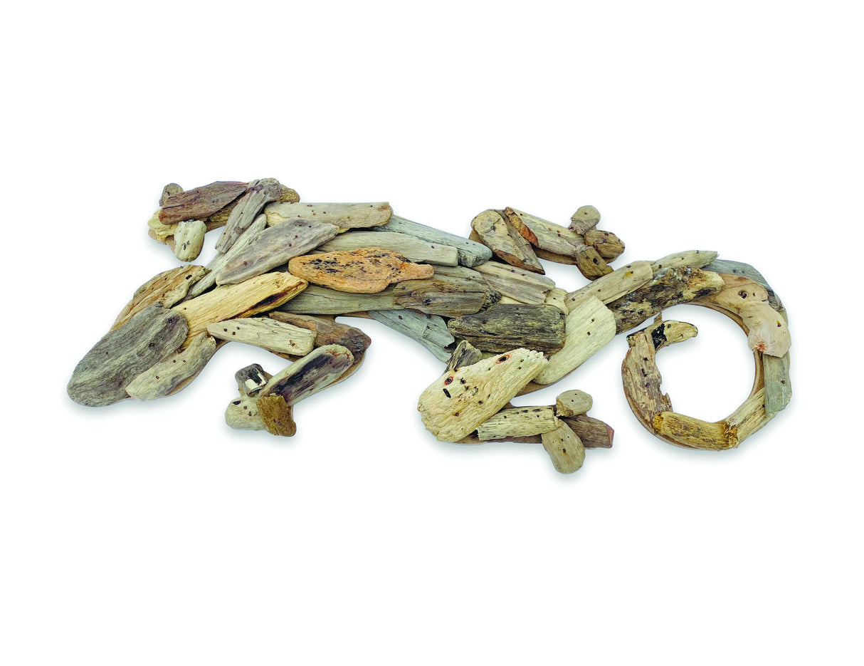 Driftwood Wall Art Gecko 50cm