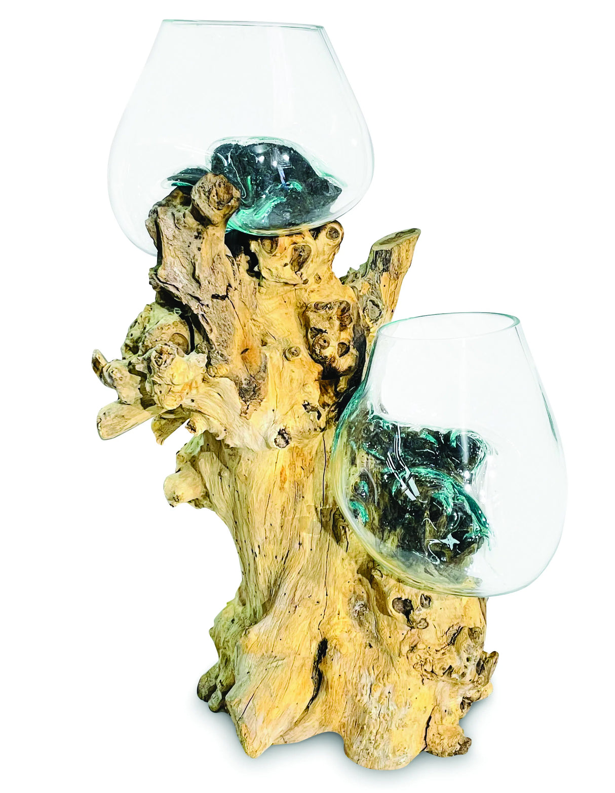 Root With Double Glass Bowl Large