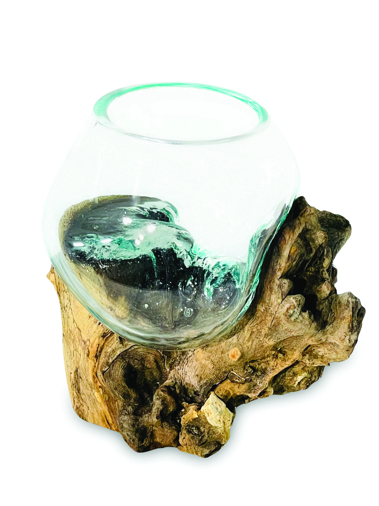 Root With Glass Bowl Mini