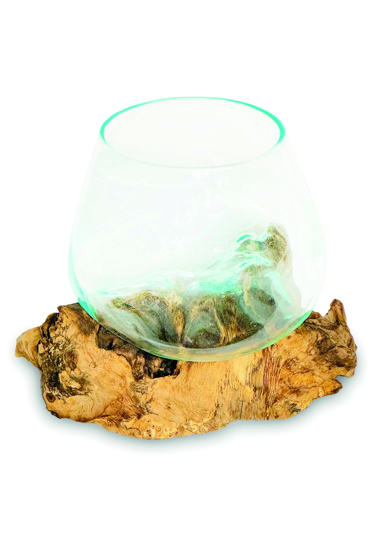 Root With Glass Bowl Mini