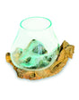 Root With Glass Bowl Extra Small