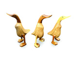 Smooth Ducks Small 25cm, Set Of 3