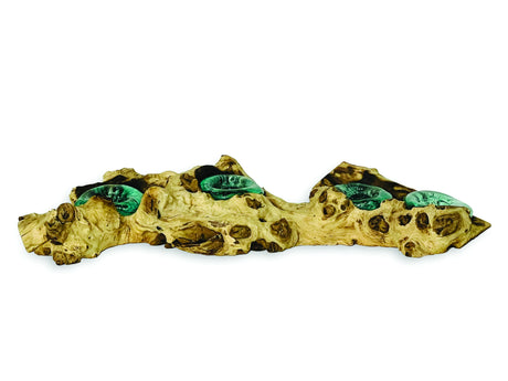 ROOT WITH GLASS 4 CANDLE HOLDER LOW