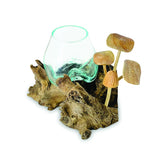 Root With Mushrooms And Glass Bowl Small