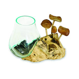 Root With Mushrooms And Glass Bowl Small