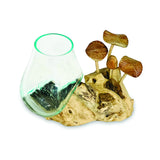 Root With Mushrooms And Glass Bowl Small