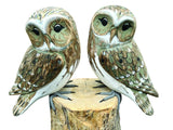 Double Owl (Please Order In Multiples Of 2)