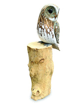 Owl (Please Order In Multiples Of 2)