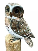 Owl (Please Order In Multiples Of 2)
