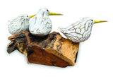 Triple Bool Bird On Root White And Yellow