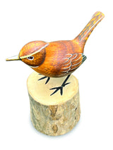 Wren (Please Order In Multiples Of 2)