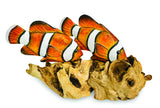 2 Nemo Clownfish On Driftwood (Please Order In Multiples Of 2)