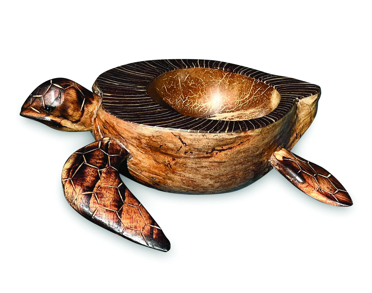 Natural Coconut Shell Turtle Bowl