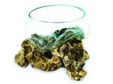 Root With Glass Fruit Bowl Tiny
