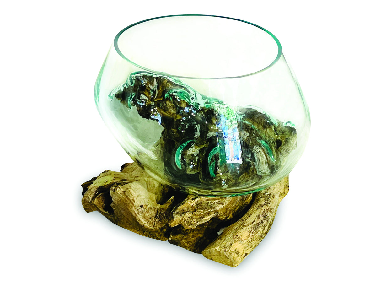 Root With Glass Fruit Bowl Small