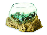 Root With Glass Fruit Bowl Small