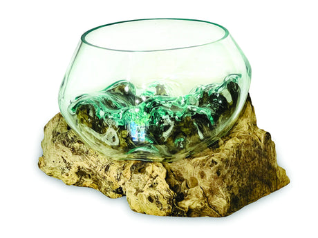 Root With Glass Fruit Bowl Small