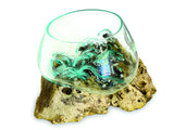 Root With Glass Fruit Bowl Small
