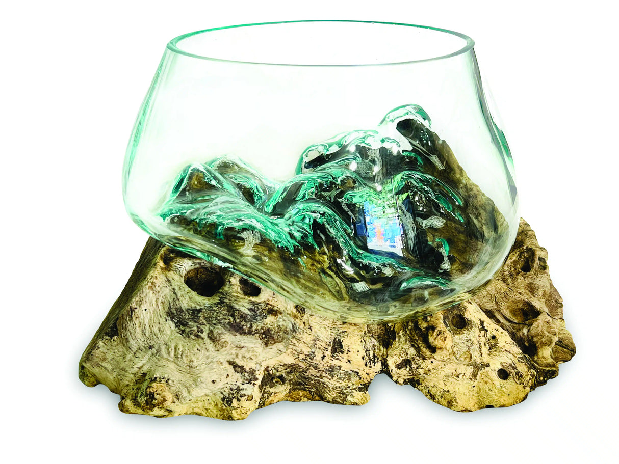 Root With Glass Fruit Bowl Small