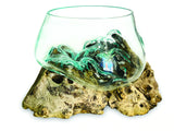 Root With Glass Fruit Bowl Small