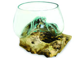 Root With Glass Fruit Bowl Small