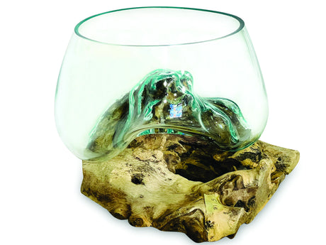 Root With Glass Fruit Bowl Small