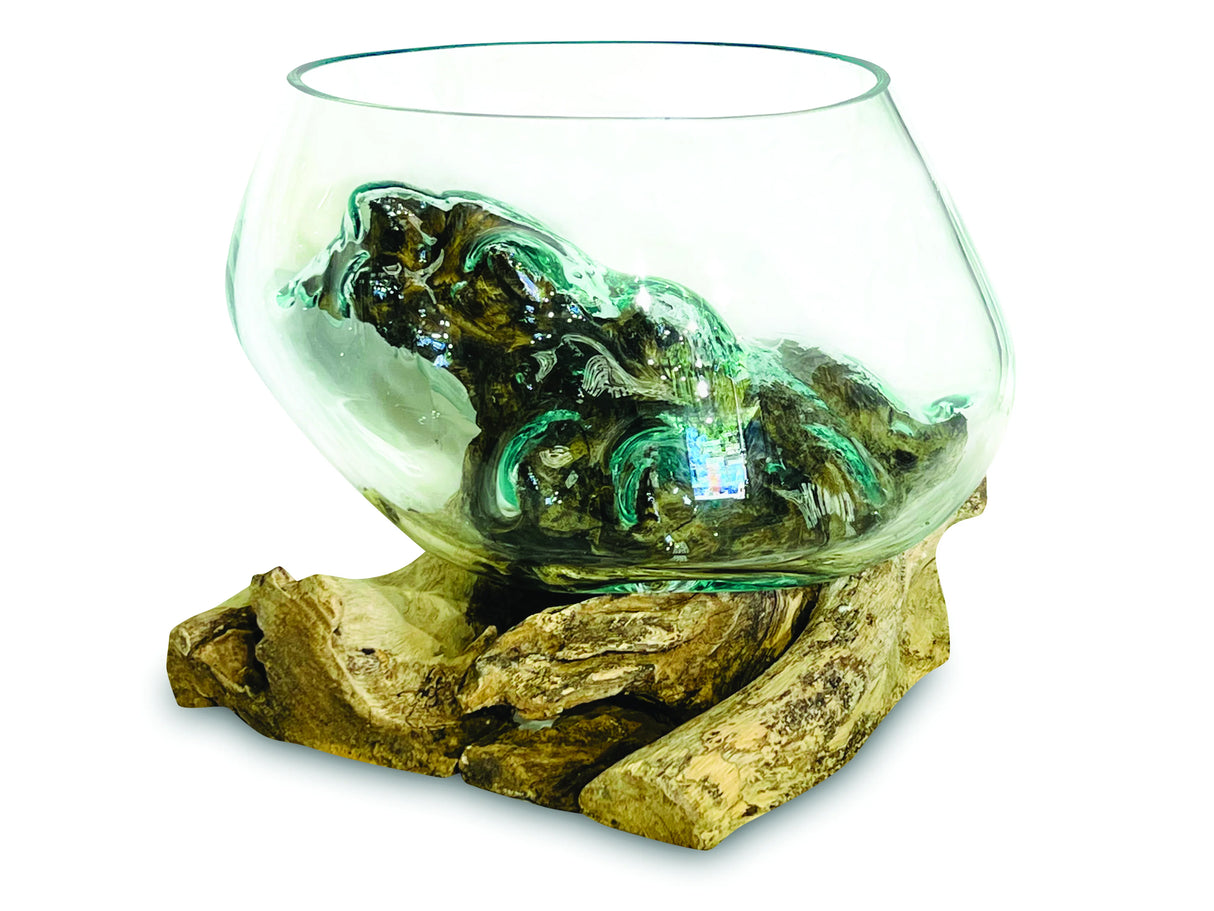 Root With Glass Fruit Bowl Small