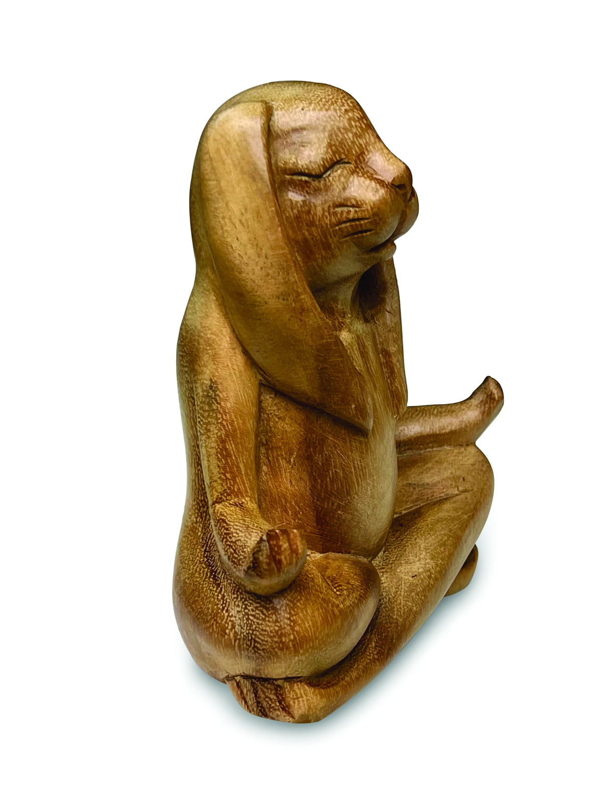 Yoga Bunny Lotus Pose