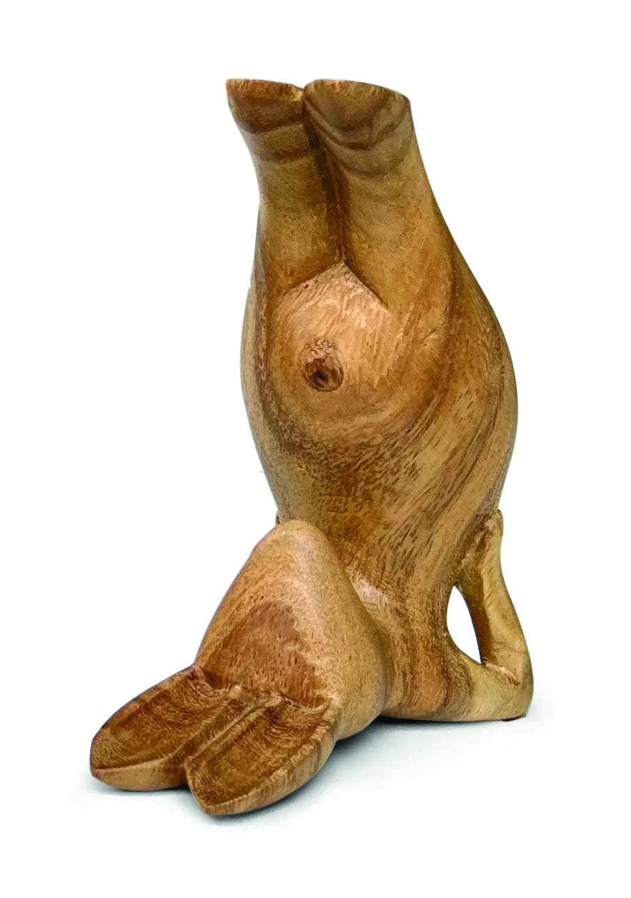 Yoga Bunny Shoulder Stand Pose