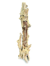 100CM BEE HIVE SCULPTURE WITH 20 BEES