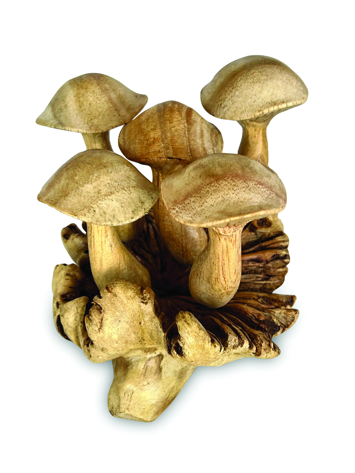 5 Wavy Cap Mushrooms
