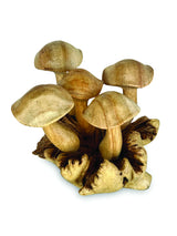 5 Wavy Cap Mushrooms