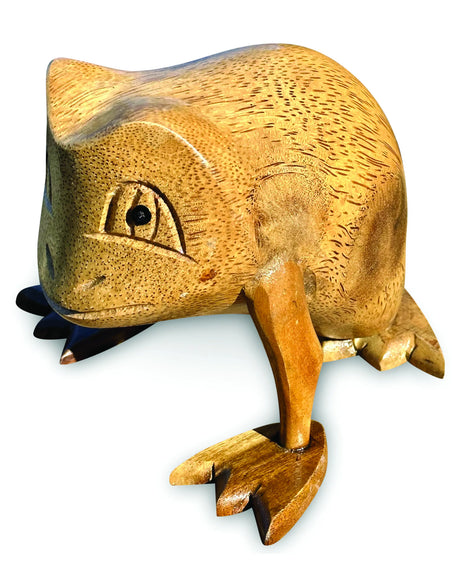 Freddy Frog