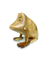 Freddy Frog